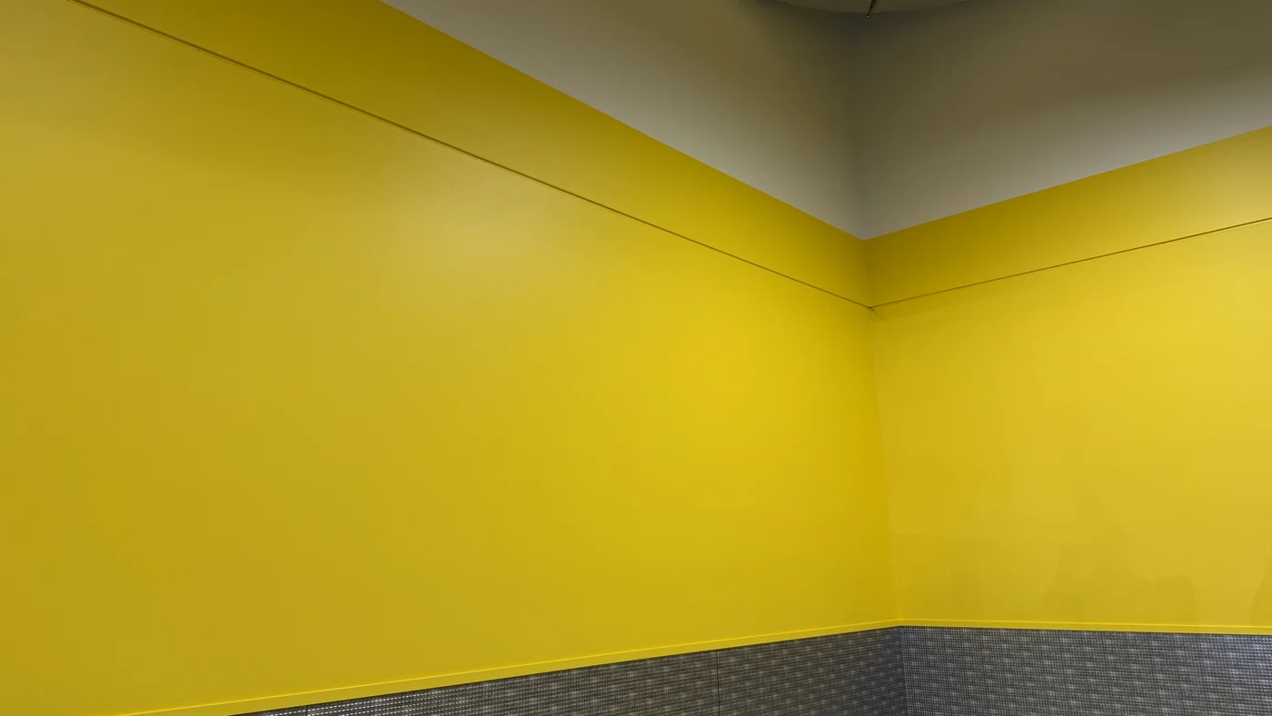 Wise Choice Painting project